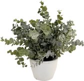 Kunstplant Eucalyptus 23 cm