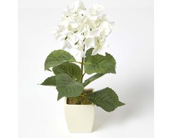 Homescapes Kunsthortensia's in witte pot, crème