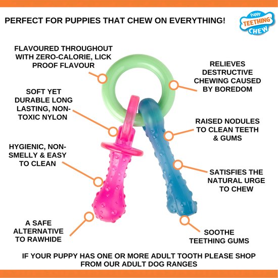 Sucette de dentition Nylabone Puppy Flexible - Jouets pour chiens - Lard 215x100x38 mm 108 g Rose Bleu Vert Jusqu'à 11kg Petit