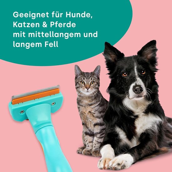 Beste hondenborstel 2026 - Zo verzorg je de vacht van je hond