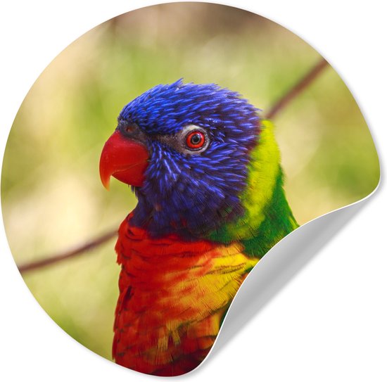 WallCircle® - Papier peint cercle 30x30 cm - Stickers muraux Vogel - Perruche - Blauw - Cercle mural salon - Cercle mural chambre - Décoration de chambre autocollante - Accessoires de Décoration murale