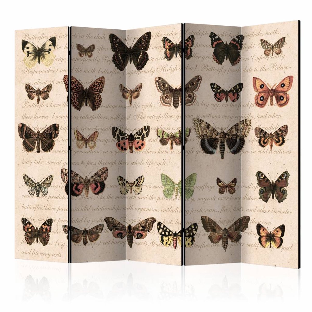 Vouwscherm - Retro Style: Vlinders 225x172cm , gemonteerd geleverd, dubbelzijdig geprint (kamerscherm)