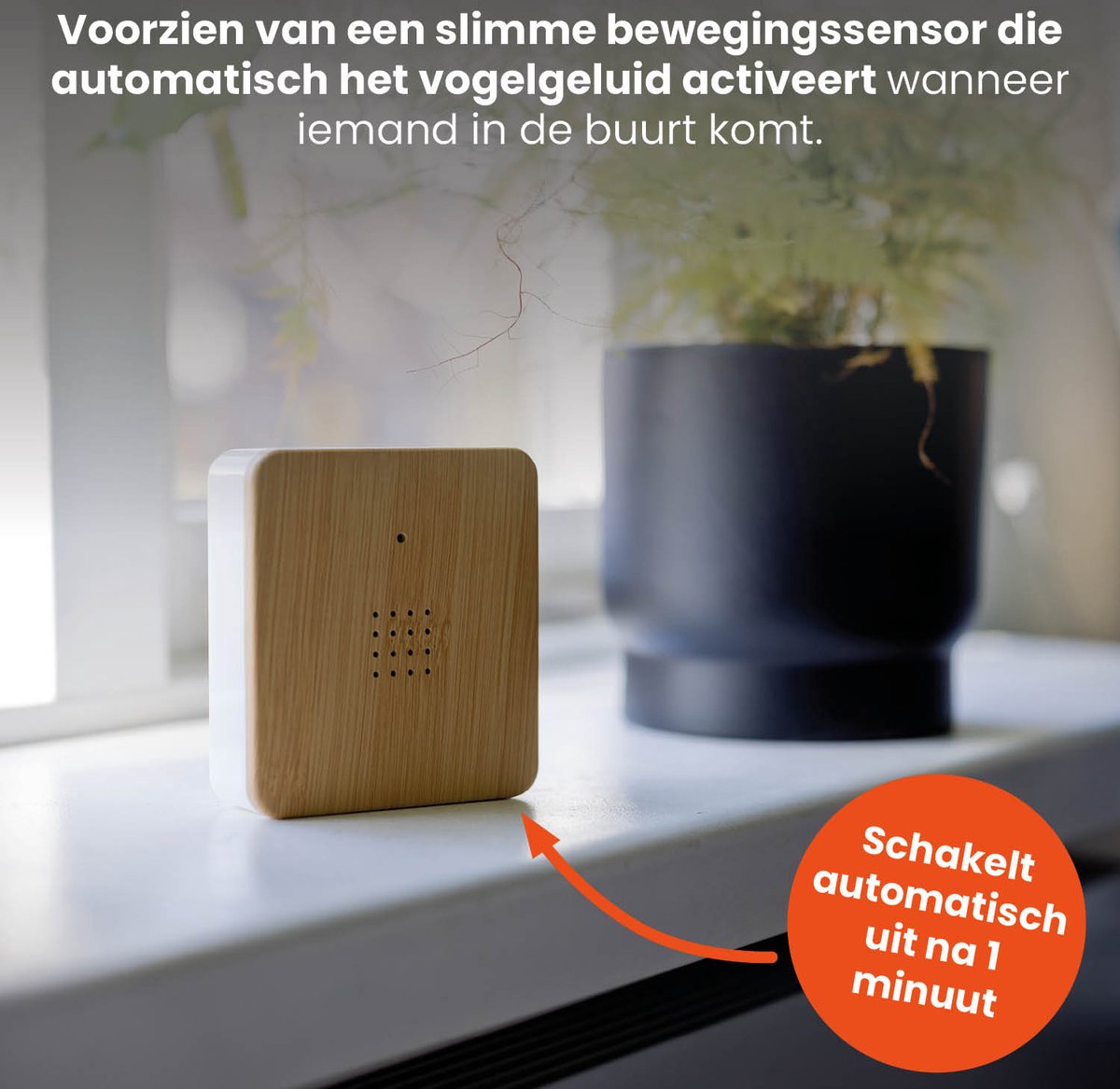 D&KO Vogelhuisje met Natuurgeluiden van QLT — cadeau in Wonen & Interieur - foto 5