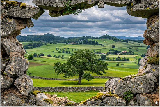 Doorkijk poster – Landschap posters – Tuinposters Natuur - Wanddecoratie tuin - Tuinaccessoires - Decoratie - 60x40 cm