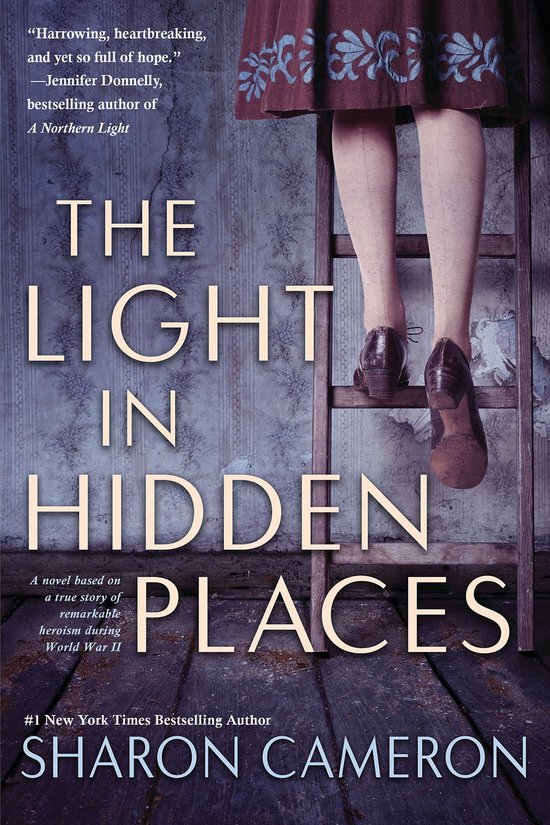 The Light in Hidden Places - cover