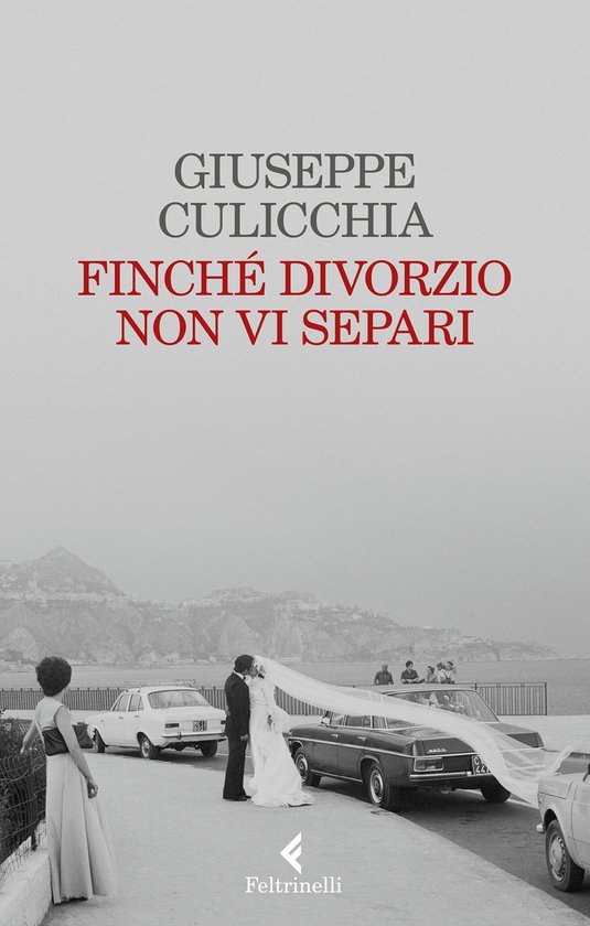 Finchè divorzio non vi separi - cover