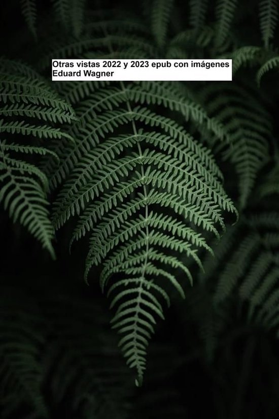 Otras vistas 2022 y 2023 epub con imágenes - cover