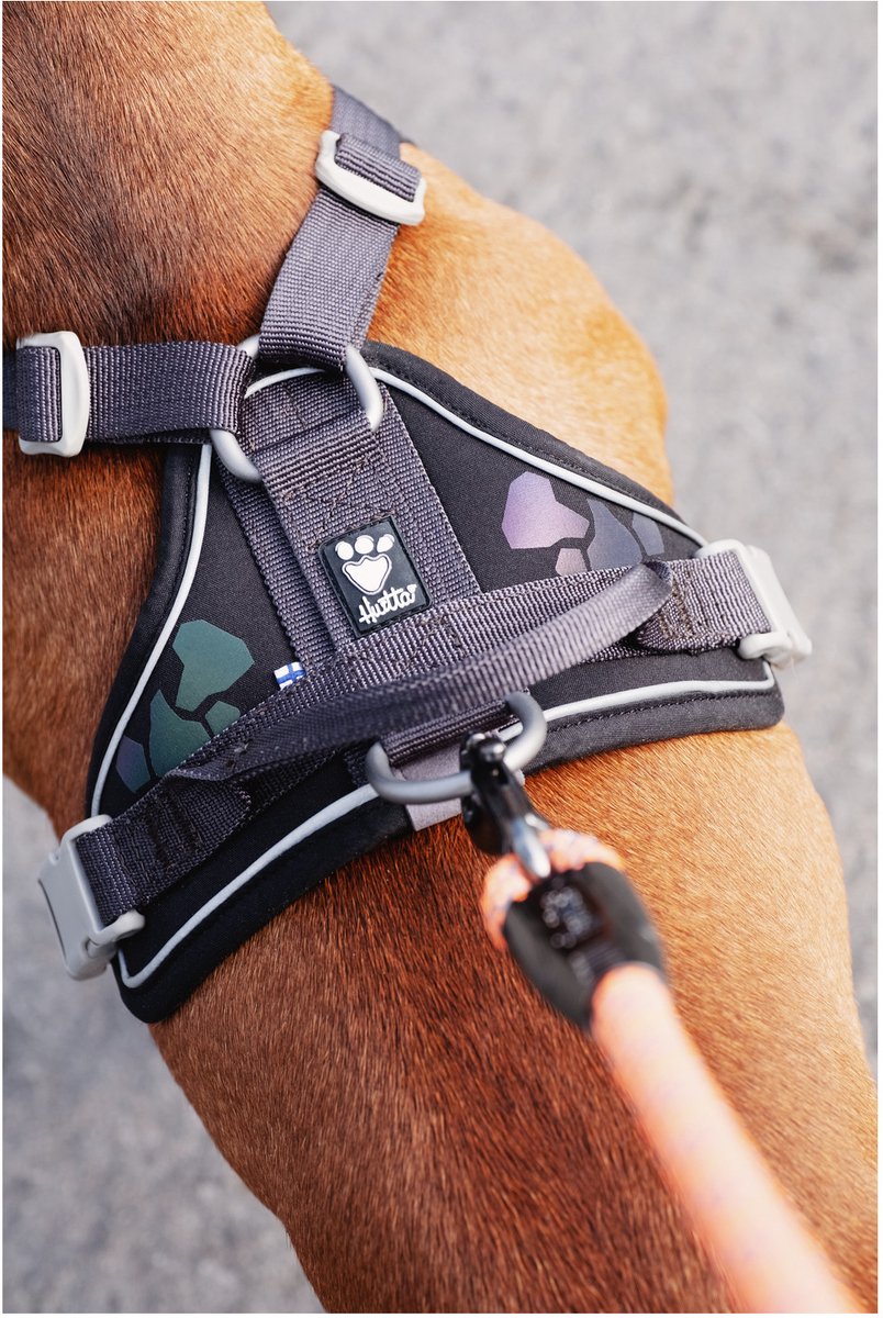 Hurtta Weekend Warrior Eco Harness for Medium Dogs, Hedge Green, 60-80 cm