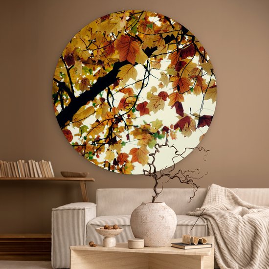 WallCircle - Wall Circle - Wall Circle Indoor - Arbres - Feuilles d'Automne - Nature - 120x120 cm - Décoration murale - Peintures Ronds XXL
