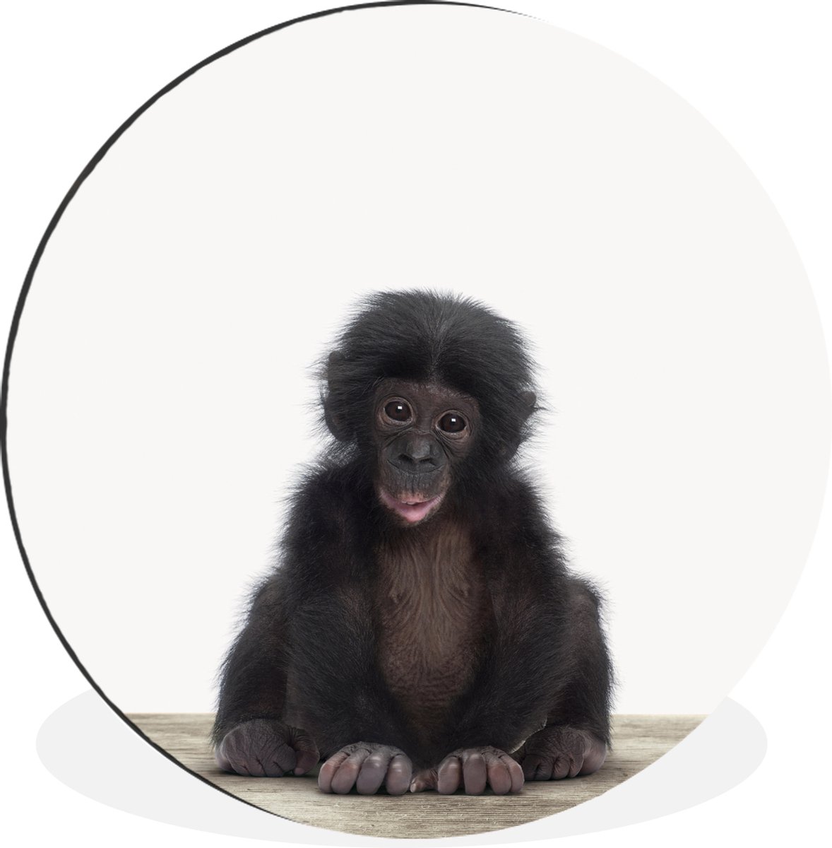 WallCircle - Wandcirkel - Muurcirkel - Kind - Aap - Chimpansee - Baby dieren - Jongens - Meiden - Aluminium - Dibond - 60x60 cm - Binnen en Buiten