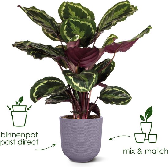 Elho Jazz Round Ø 30cm - Pot de Fleurs d'Intérieur - Plastique 100% recyclé - Structure Unique - Ø 29.5 x H 27.5 cm - Rouge toscane