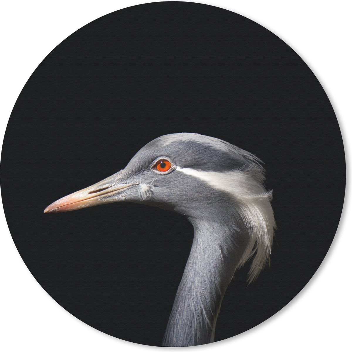 Muismat rond 30x30 cm - Mousepad Vogel - Dieren - Portret - Ronde muismatten