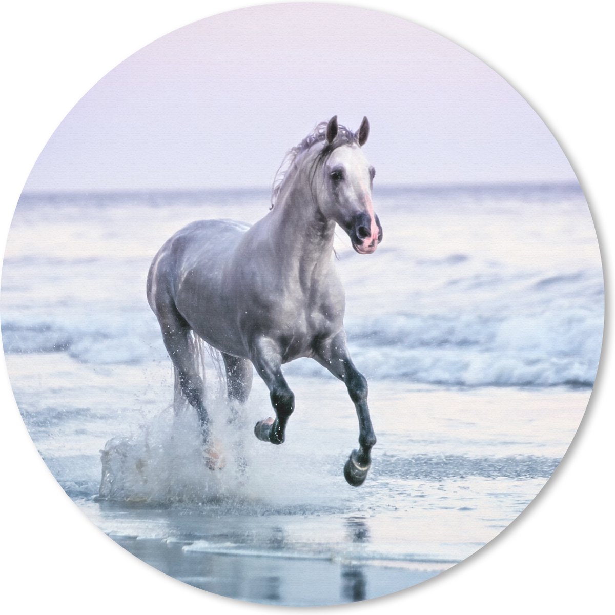 Muismat rond 20x20 cm - Mousepad Paarden - Lucht - Zee - Ronde muismatten