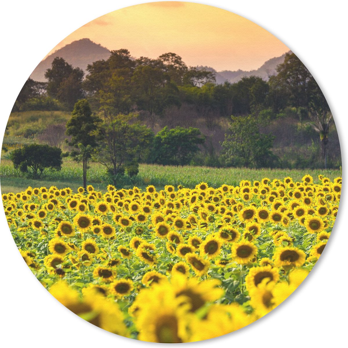 Muismat rond 30x30 cm - Mousepad Zonnebloem - Natuur - Berg - Ronde muismatten
