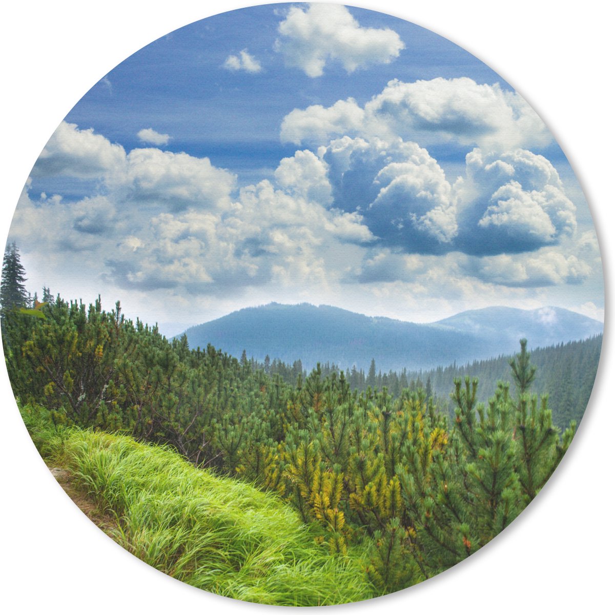 Muismat rond 40x40 cm - Mousepad Bos - Pad - Berg - Ronde muismatten