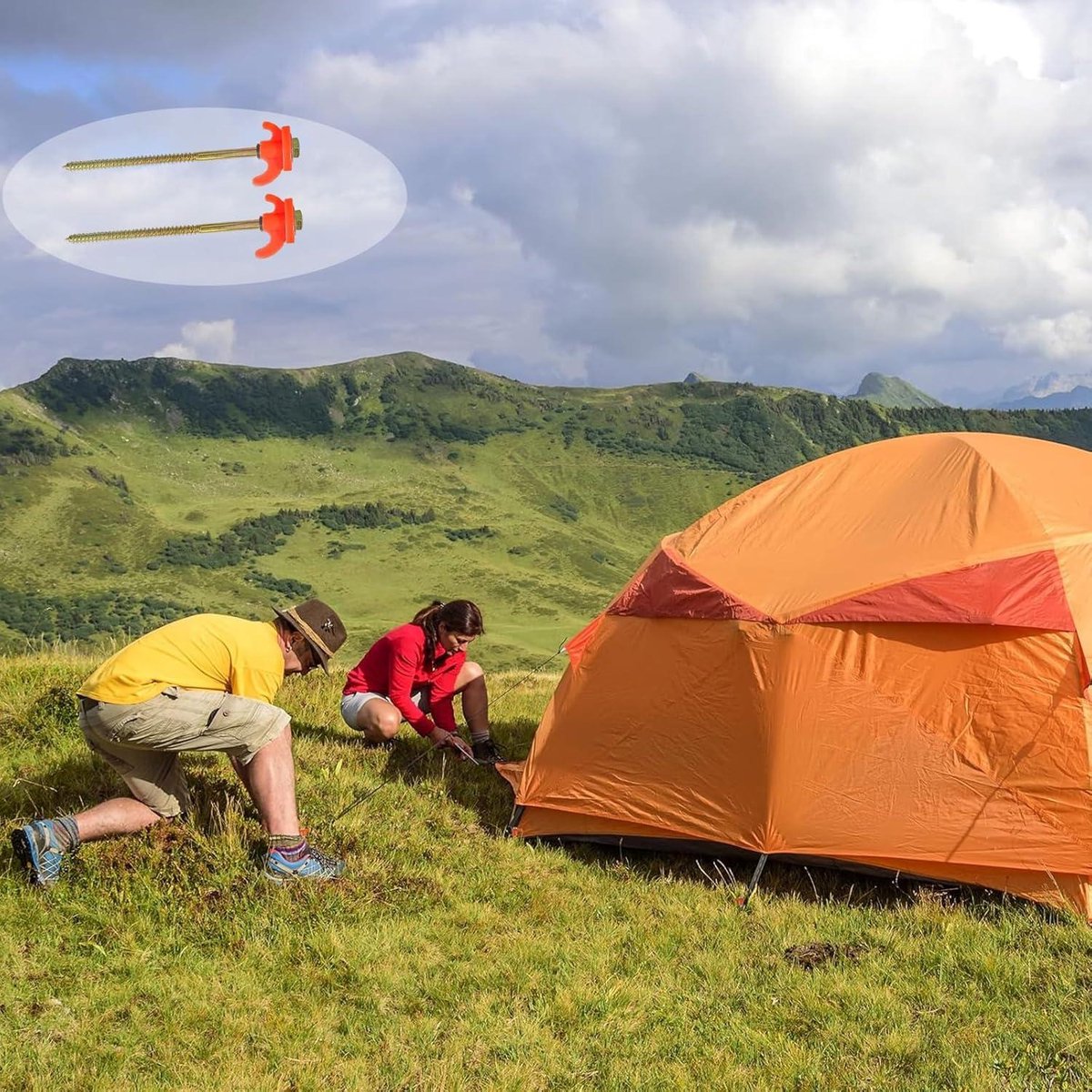 Lot De 10 Piquets De Tente Rotatifs Avec Filetage - Piquets