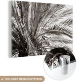 MuchoWow® Glasschilderij 60x40 cm - Schilderij acrylglas - Palmboom - Tropisch - Zwart - Wit - Foto op glas - Muurdecoratie woonkamer - Wanddecoratie slaapkamer - Schilderijen