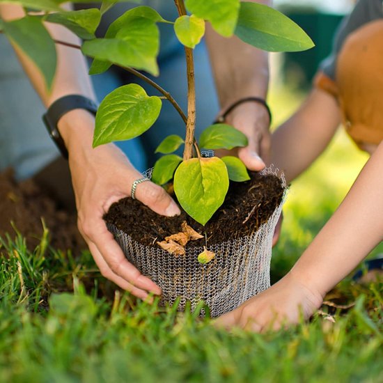 12 stuks wortelbescherming van roestvrij staal voor planten, 3 maten woelmuismand voor fruitbomen, plantenmand, woelmuisbescherming, metalen netzak voor bescherming van de wortels van bloemen en 12 stuks wortelbescherming van roestvrij staal voor planten, 3 maten woelmuismand voor fruitbomen, plantenmand, woelmuisbescherming, metalen netzak voor bescherming van de wortels van bloemen en