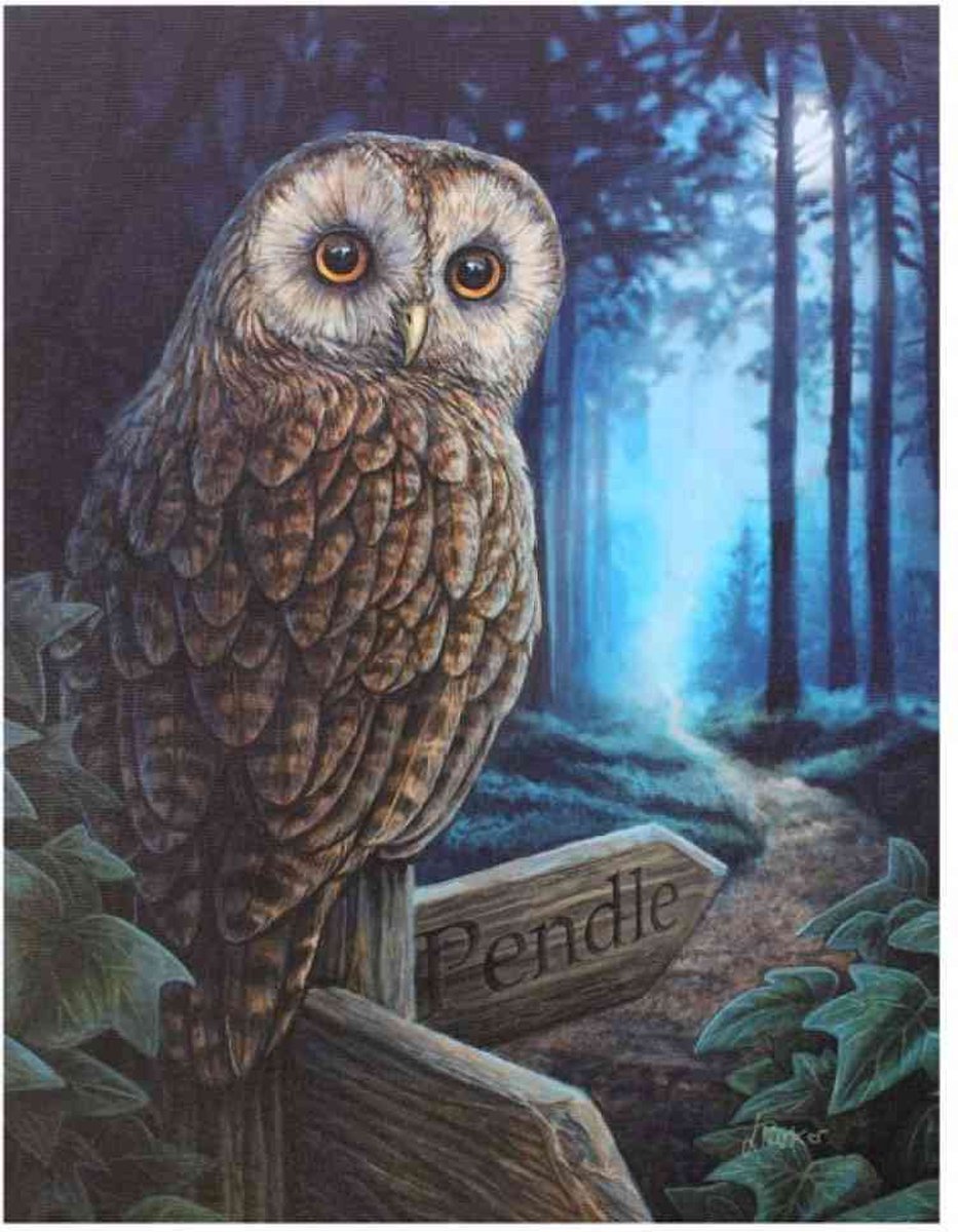 Lisa Parker - Something Different - Way Of The Witch by Lisa Parker Canvas afbeelding - Multicolours - 50x70cm