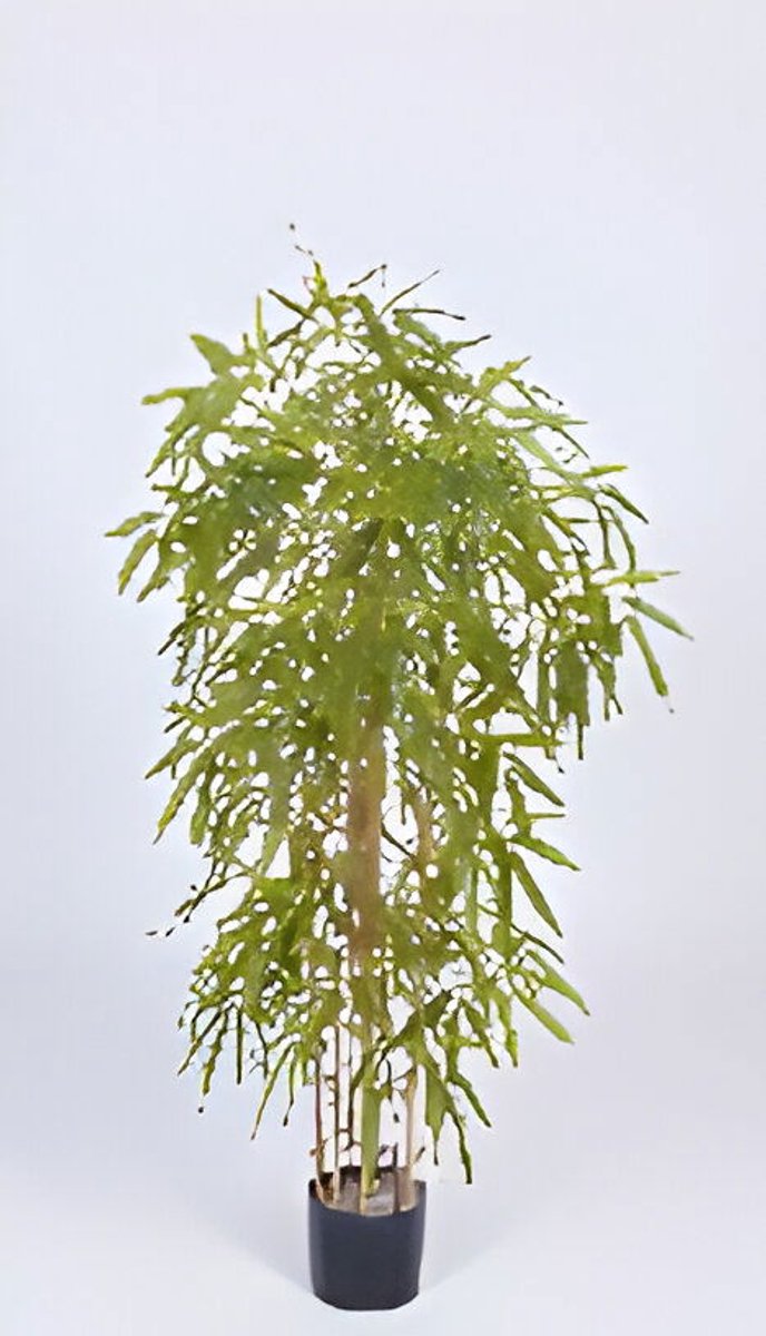 Oosterik home - Chinese bamboo 150 cm kunstplant Oosterik Home