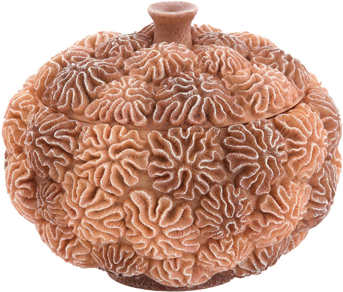 Deco box+deksel CORAL - Ø20x15.5cm - Bruin