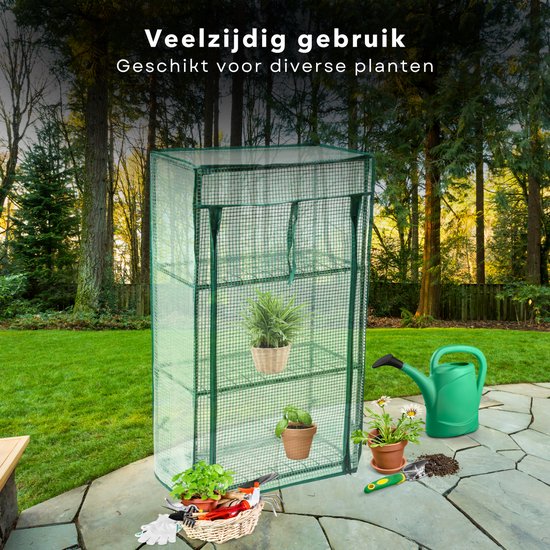 Groene kweekkas met transparante hoes, drie planken, met planten, gieter en tuingereedschap op een stenen terras.