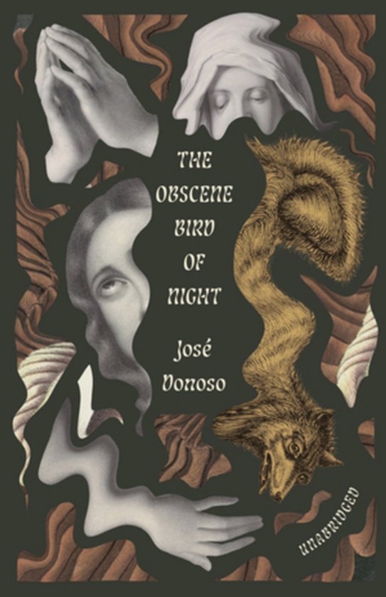 The Obscene Bird of Night - cover
