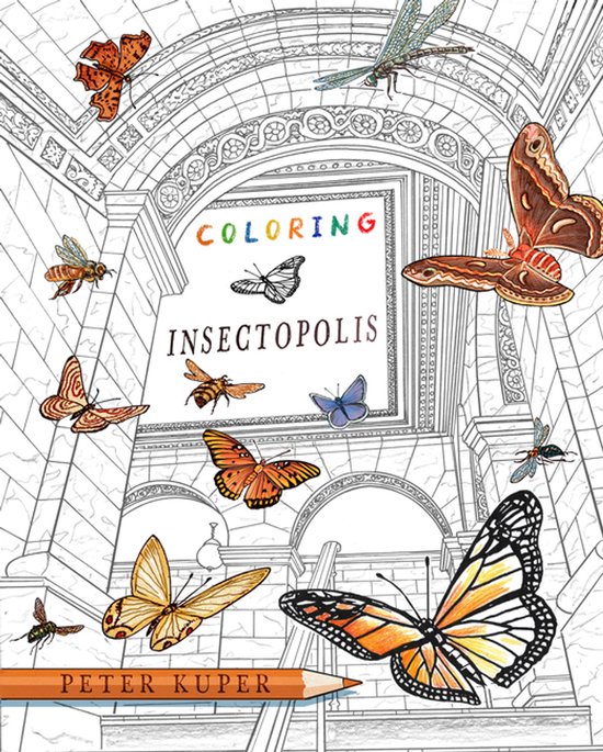 Coloring Insectopolis