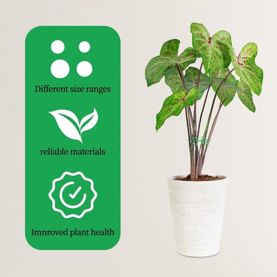 Novatool 10 stuks plantenstelen, 120 cm, groen, diameter 11 mm