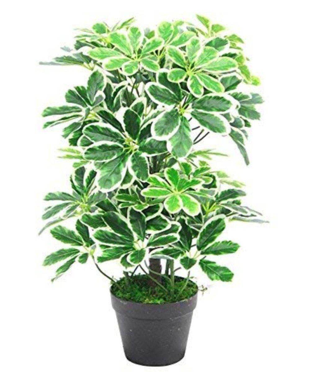 Ibenzoa Kunstmatige Parapluboom Schefflera Arboricola met Verstelbare Stelen voor Realistische Decoratie groen