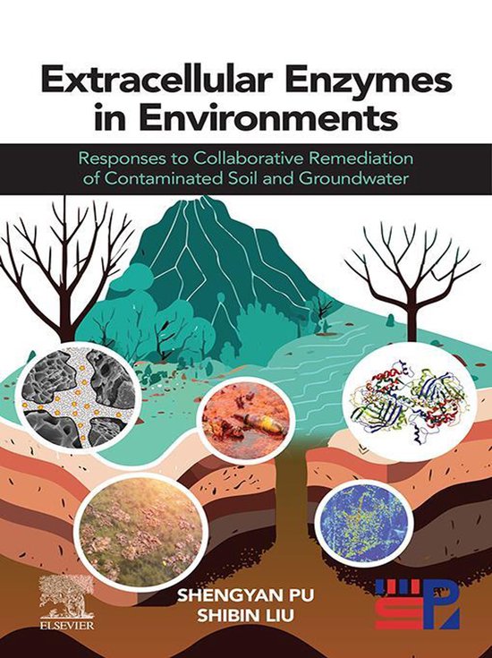 Extracellular Enzymes in Environments - cover