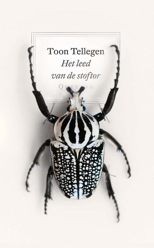 Het leed van de stoftor - cover
