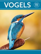 Rebo mini guide - Rebo mini guide - Vogels
