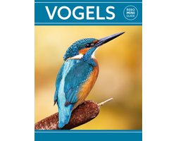 Rebo mini guide - Rebo mini guide - Vogels