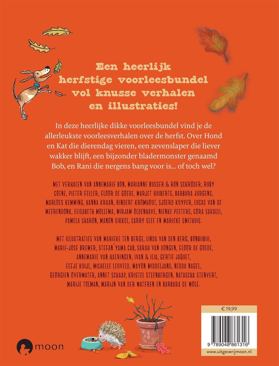Seizoensbundels - Het heerlijke herfstboek - back cover