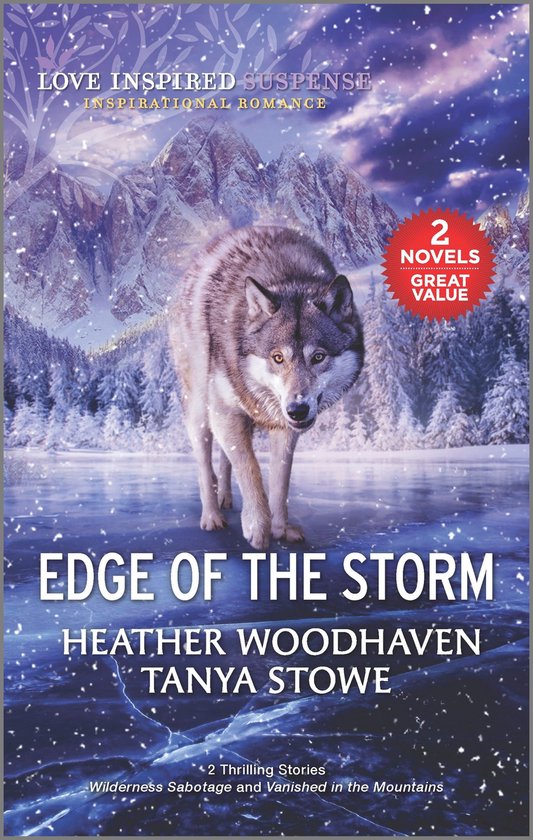 Edge of the Storm - cover