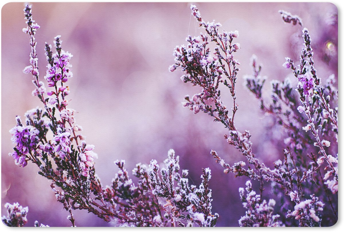 Muismat 27x18 cm - Mousepad Lavendel - Winter - Bloemen - Paars - Muismatten