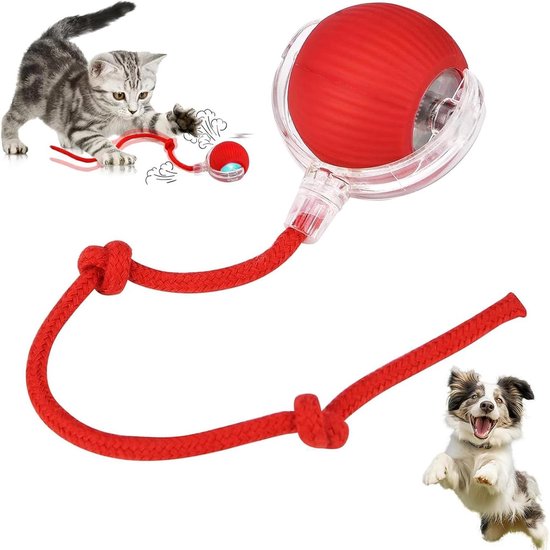 Elektrisch kattenspeelgoed - Pets Gifts
