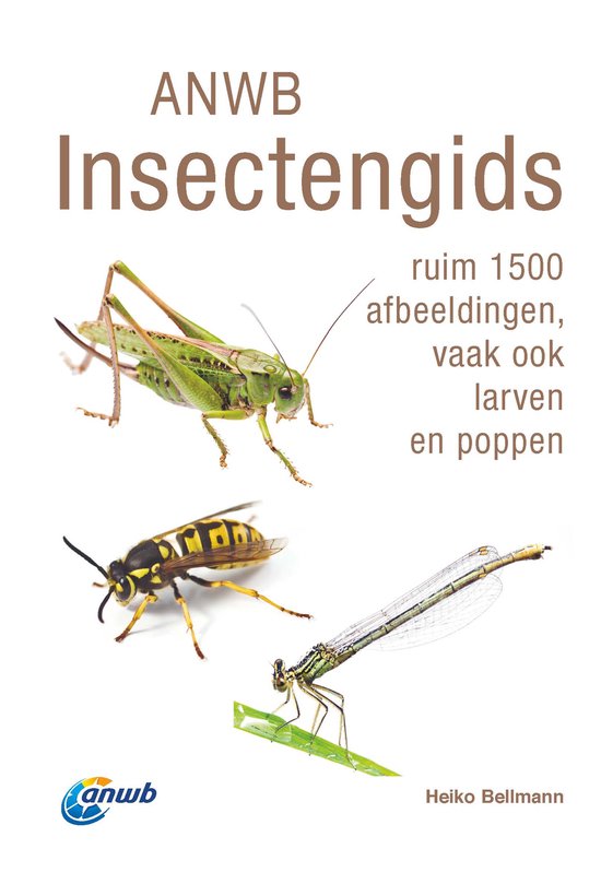 ANWB natuurgidsen - ANWB Insectengids - cover