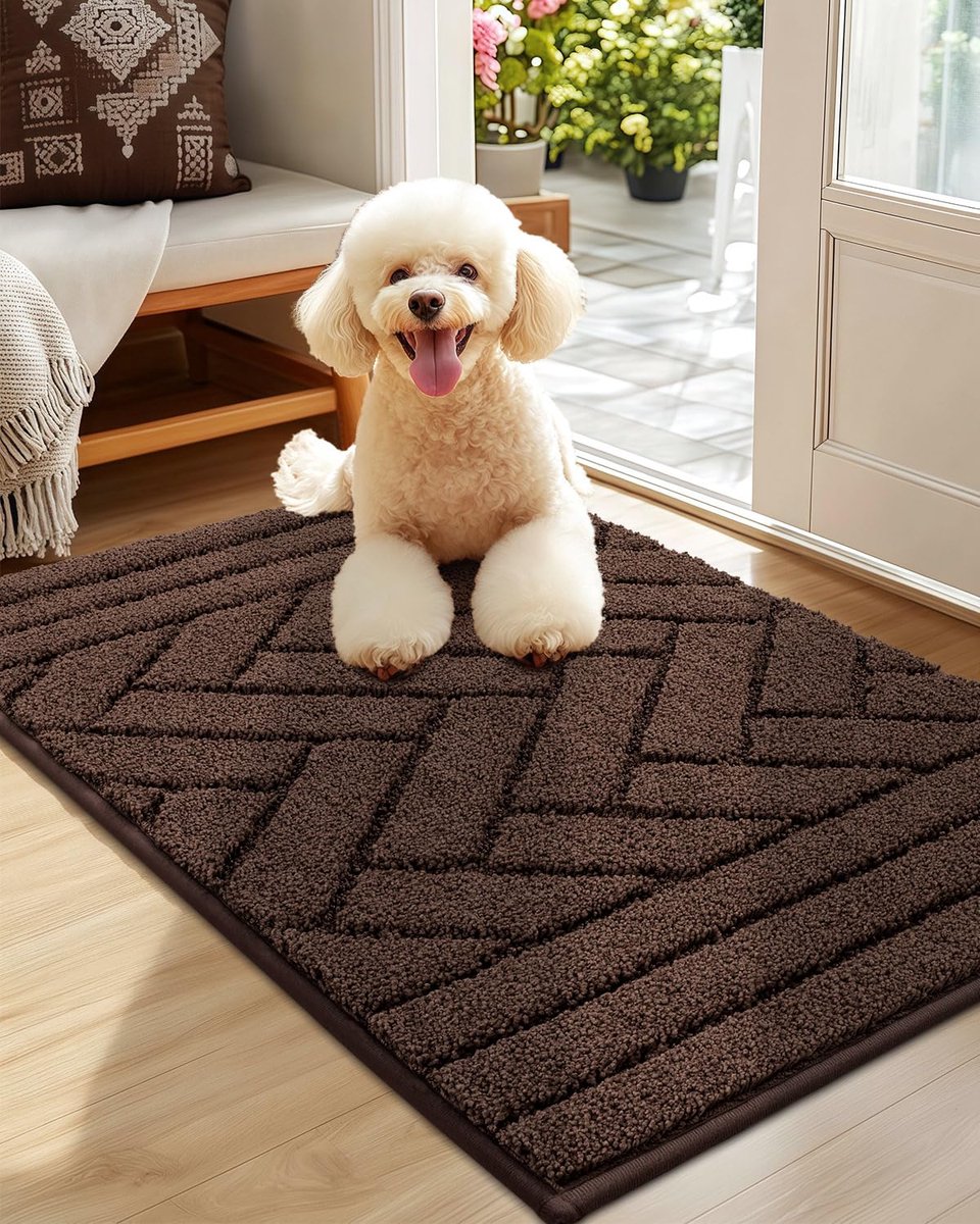 Ibenzoa Robuuste en Functionele Entree Mat van Polypropyleen - 50 x 80 cm koffie