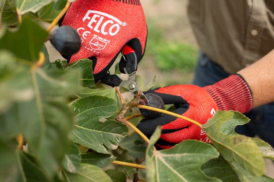Felco 320 pluk- en bloemenschaar van Felco — afbeelding 2