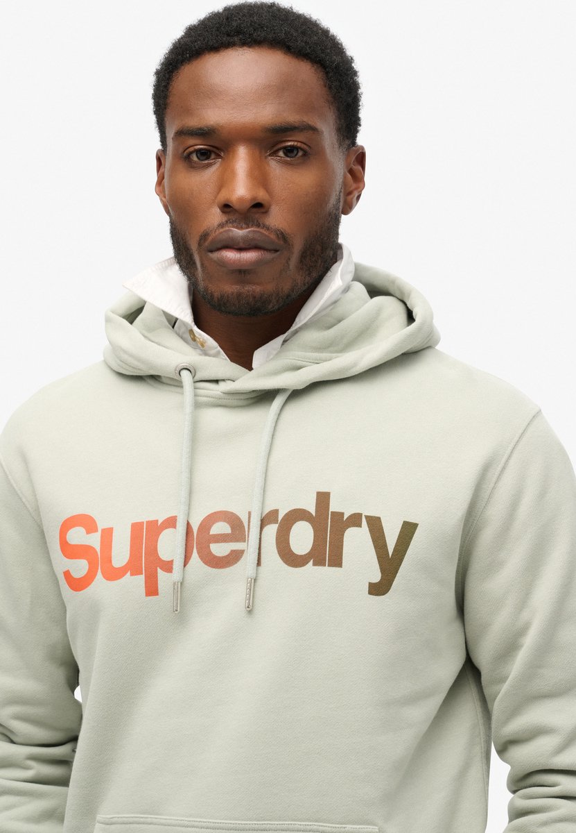 Superdry Fade hoodie met Core logo en losse pasvorm Heren Hoodies Grijs