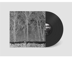 Pile - Sunshine And Balance Beams (LP)