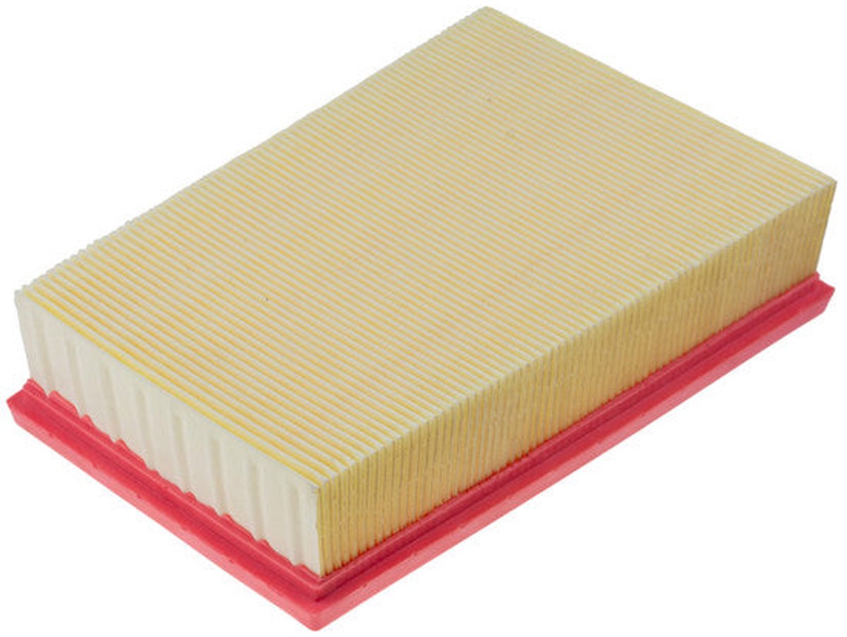 Luchtfilter OEM 165463205R