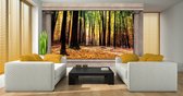 Fotobehang - Vlies Behang - 3D Uitzicht op het Herfstbos Raamzicht - 312 x 219 cm
