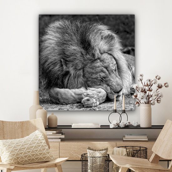 Toile de lion endormie 2cm 90x90 cm - Tirage photo sur toile (Décoration murale salon / chambre) / Peintures sur toile animaux sauvages