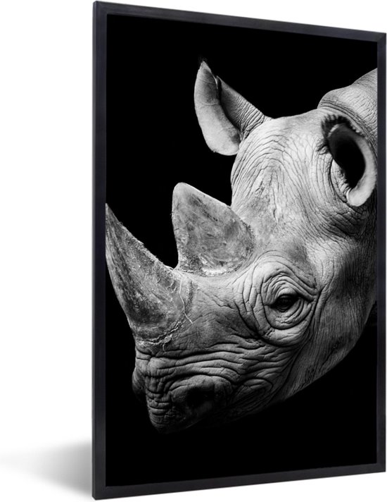 Fotolijst incl. Poster - Dieren - Neushoorn - Zwart - Wit - Portret - 60x90 cm - Posterlijst