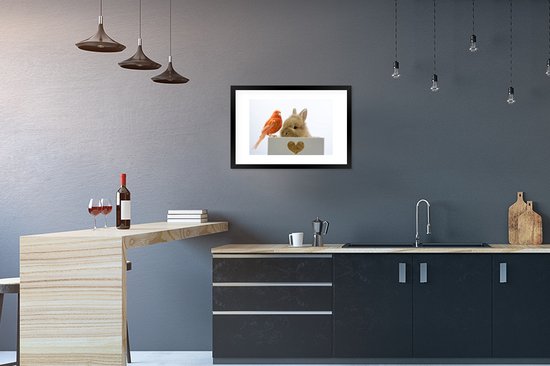Photo en cadre - Bébé lapin avec un cadre photo oiseau rouge noir avec passe-partout blanc 40x60 60x40 cm - Affiche sous cadre (Décoration murale salon / chambre)