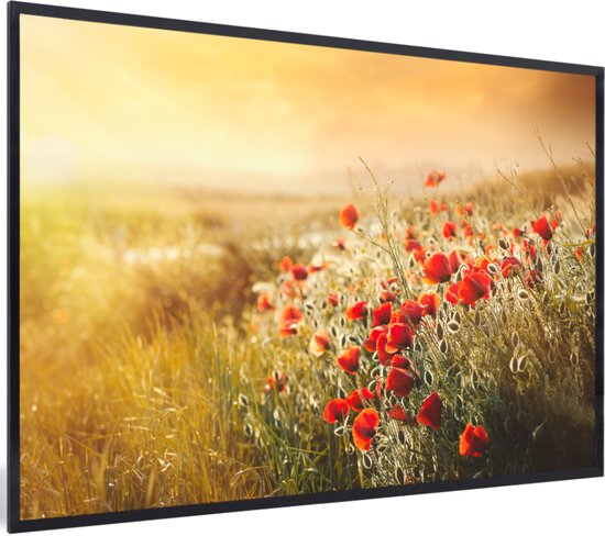 Cadre photo avec affiche - Rayons de soleil sur une forêt de coquelicots - 90x60 cm - Cadre pour affiche