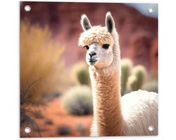 Tuinposter – Dier - Lama - Wit - Planten - Cactus - 50x50 cm Foto op Tuinposter (wanddecoratie voor buiten en binnen) Tuinposter – Dier - Lama - Wit - Planten - Cactus - 50x50 cm Foto op Tuinposter (wanddecoratie voor buiten en binnen)
